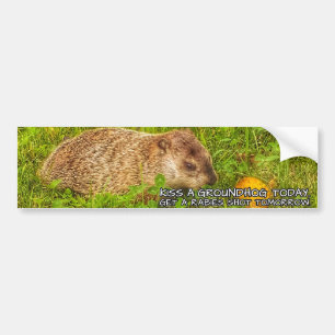Autocollant De Voiture Embrassez un groundhog aujourd'hui. Obtenez un