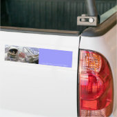 Autocollant De Voiture En vente (Sur camion)