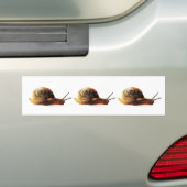Autocollant De Voiture Escargot (En voiture)