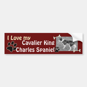 Autocollant De Voiture Étiquette de pare-chocs du roi Charles Spaniel
