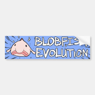 Autocollant De Voiture Évolution de Blobfish