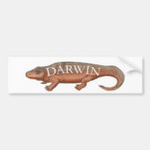 Autocollant De Voiture Évolution de Darwin Tetrapod (Devant)