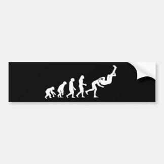 Autocollant De Voiture Évolution RKO