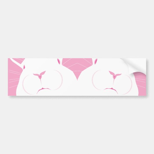 AUTOCOLLANT DE VOITURE FACE 2 (Devant)