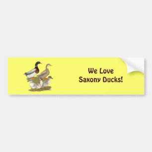 Autocollant De Voiture Famille de canards de Saxe