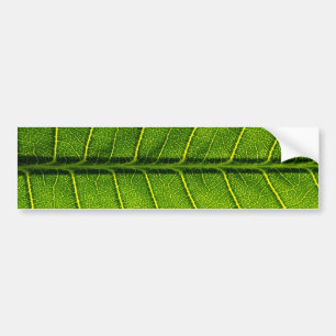Autocollant De Voiture Feuille
