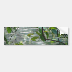 Autocollant De Voiture Feuille vert d'espoir