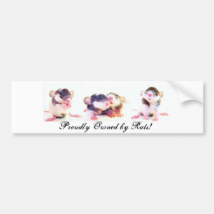 Autocollant De Voiture Fièrement possédé par des rats !