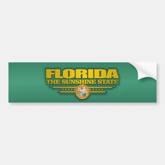 Autocollant De Voiture Fierté de Floride (Devant)