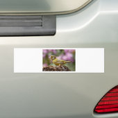Autocollant De Voiture Finch vert (En voiture)