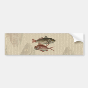 Autocollant De Voiture Fish Red Perch Fisherman Art