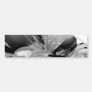 Autocollant De Voiture Fleur de lis péruvien d'Alstroemeria dans noir et