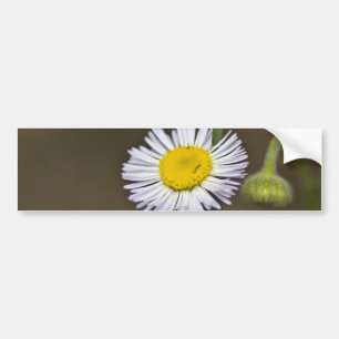 Autocollant De Voiture Fleur sauvage de montagne