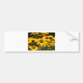 Autocollant De Voiture fleurs-2824808