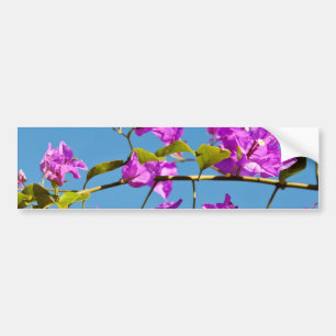 Autocollant De Voiture Fleurs de bougainvillée