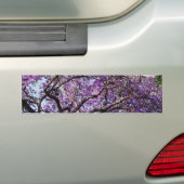 Autocollant De Voiture Fleurs de fleur d'arbre de Jacaranda au printemps (En voiture)