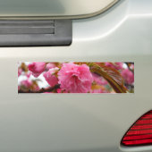 Autocollant De Voiture Fleurs de fleurs de cerisier rose chaud (En voiture)