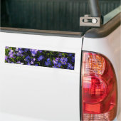 Autocollant De Voiture Fleurs de printemps de Squill Bleu (Sur camion)