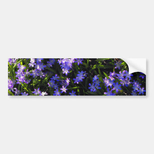 Autocollant De Voiture Fleurs de printemps de Squill Bleu