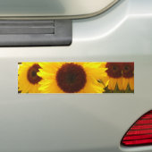 Autocollant De Voiture Fleurs de soleil (En voiture)