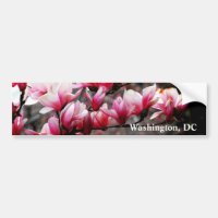 Fleurs d'université de Georgetown, Washington, C.C