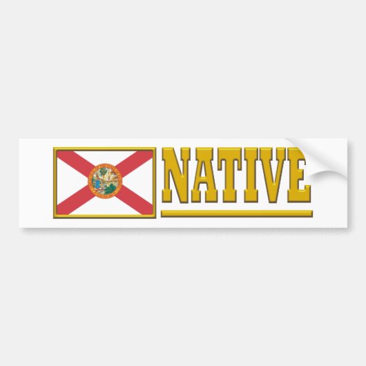 Autocollant De Voiture Florida (Devant)