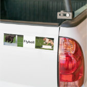 Autocollant De Voiture Flyball (Sur camion)