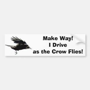 Autocollant De Voiture Flying Black Crow Wildlife Art