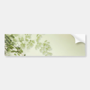 Autocollant De Voiture Foliage de printemps