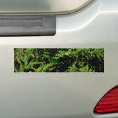 Autocollant De Voiture Forest Floor Ferns (En voiture)