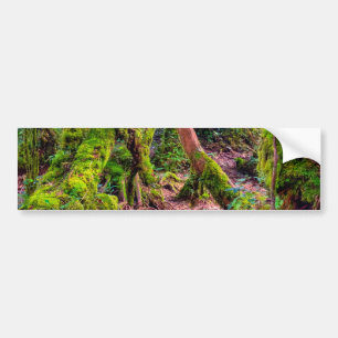 Autocollant De Voiture Forêt moussue
