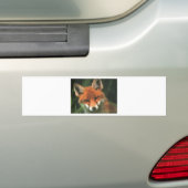 Autocollant De Voiture Fox rouge (En voiture)