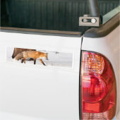 Autocollant De Voiture Fox rouge (Sur camion)
