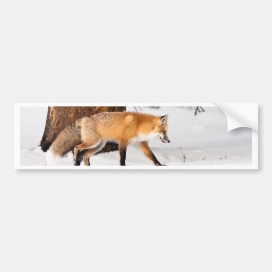 Autocollant De Voiture Fox rouge (Devant)