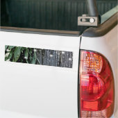 Autocollant De Voiture Fraîchement Coupé Feu de Grange Luminaires Twinkle (Sur camion)