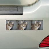 Autocollant De Voiture Fred (En voiture)