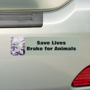 Autocollant De Voiture Frein pour animaux Chat pourpre