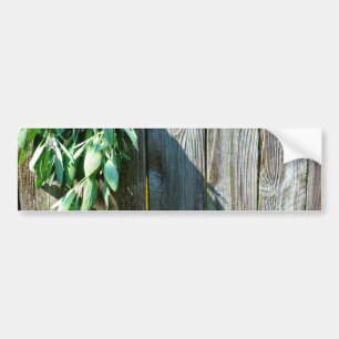 Autocollant De Voiture Fresh-cut Sage Barn-wood