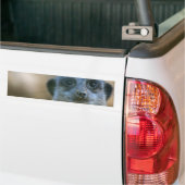 Autocollant De Voiture Funny Meerkat (Sur camion)