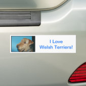 Autocollant De Voiture Gallois Terrier (En voiture)