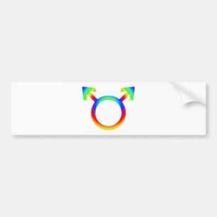 Autocollant De Voiture gay pride 2become1