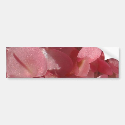 Autocollant De Voiture Géranium rose : presque solide Rose clair (Devant)