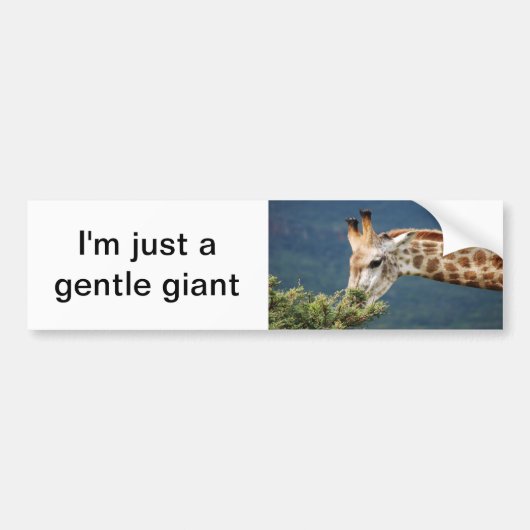 Autocollant De Voiture Giraffe mangeant un peu de feuille (Devant)