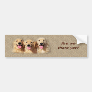 Autocollant De Voiture golden_pups3_bumpersticker