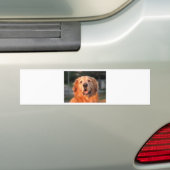 Autocollant De Voiture Golden Retriever (En voiture)