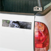 Autocollant De Voiture Gorille_ (Sur camion)