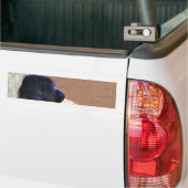 Autocollant De Voiture Gorilles_ (Sur camion)