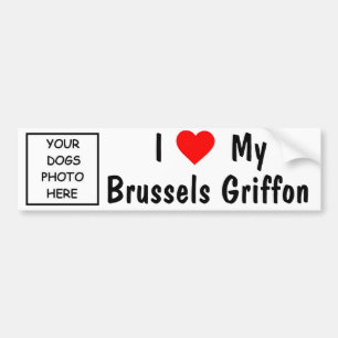 Autocollant De Voiture Griffon de Bruxelles