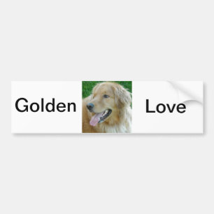 Autocollant De Voiture Gros plan de Golden Retriever