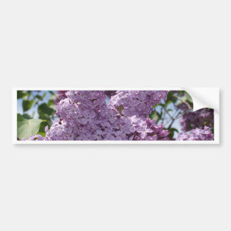 Autocollant De Voiture Groupe lilas